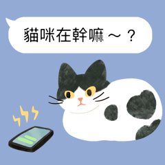 Message For Cat Person Yy's cat