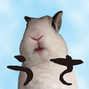 Rabbit A