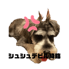 saya_20210820155021