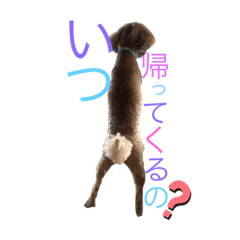 CHIYO_20210820173126