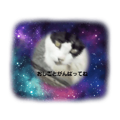 mikan_20210820165753