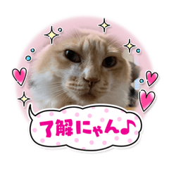 junko_20210820162237