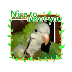 點柚日常，就是可愛～