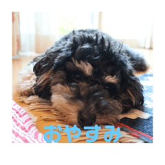 saya_20210820162928