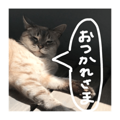 Yuka_20210820182001