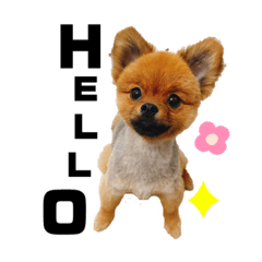 yuka_20210818212237