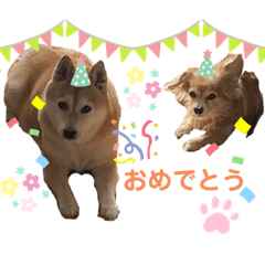 rina_20210820182810