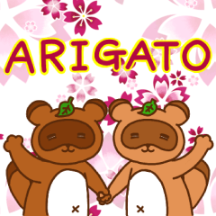ARIGATO from a raccoon dog
