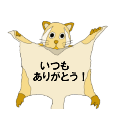 Japanese giant flying squirrel