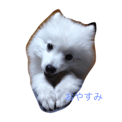 yuzuzuy