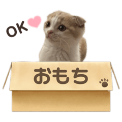 suzu_20210820211050