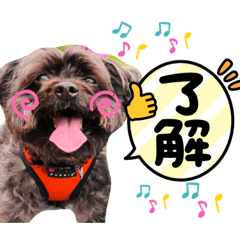 Riho_20210820231436