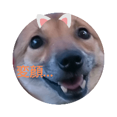 tomomi_20210820231355