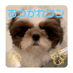 runmaru.0423