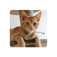 Nozomi_20210821040756