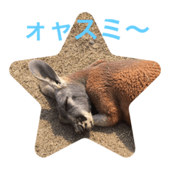 HIMAWARI_20210820183238