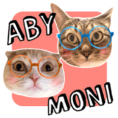 ABBEY & MONICA 's CAT Stickers 3