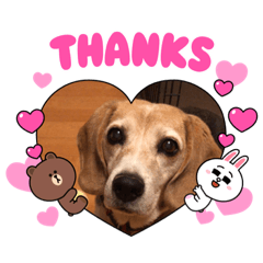 natsumi_20210820210324