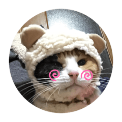 yukari_20210821000438