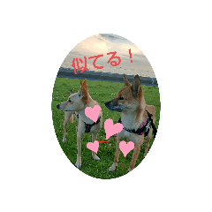 tomomi_20210821122930