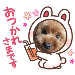 junko_20210820215954