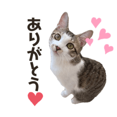 suzu_20210821091638