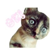 Coco's stamp!