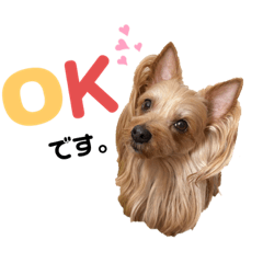 cocoa_20210820223437