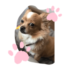 chihiro_20210821111850