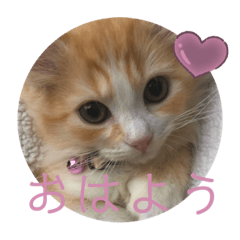 unichanstamp