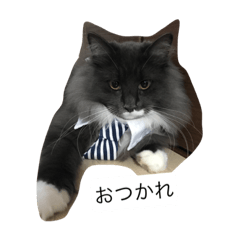 Zizi-san stamp