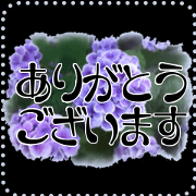okiniiri no sticker