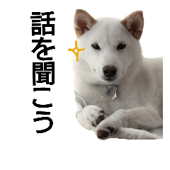 Fukusuke of dog