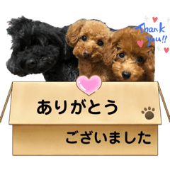 Andie_20210821175238