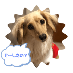 Suzu_20210820222000