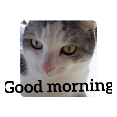 good morning_20210821201655