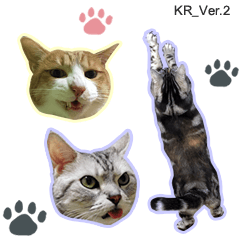 3 마리 고양이의 사진 스탬프Ver.2