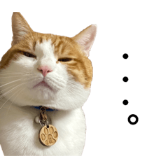 arisa_20210822000552