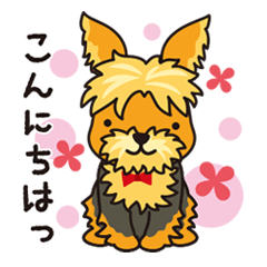 Yorkshire Terrier of "Unio" (Part 2)