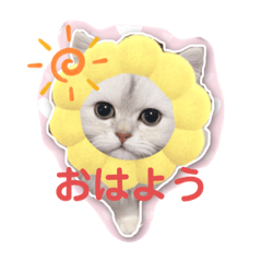 arisa_20210821182709