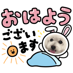 hana_20210822095845