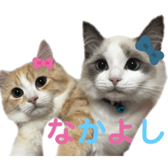 miki_20210821174726