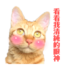 就是要皮皮～笛II