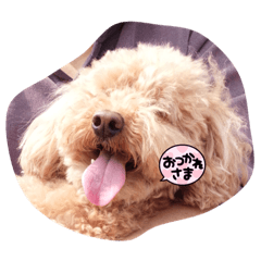 Cocoa_20210821201514