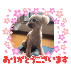 chubby_20210821205723