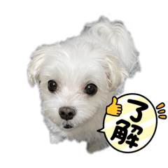 YuuRian_20210821211755