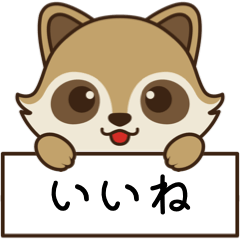 Raccoon daily life [Japanese]