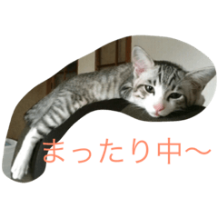 mugibaku