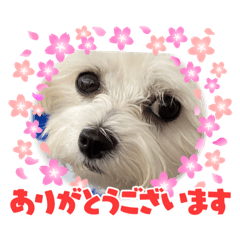 kaori_20210821221511
