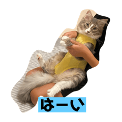 yun_20210822121652